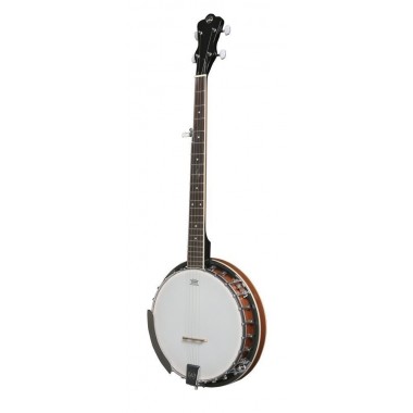 5 string Banjo